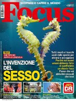 Focus Italia